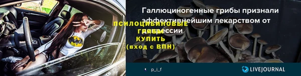 хмурый Пересвет
