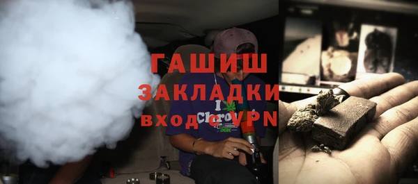 хмурый Пересвет