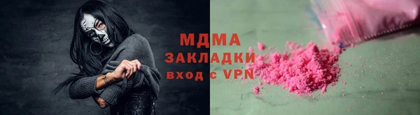 хмурый Пересвет