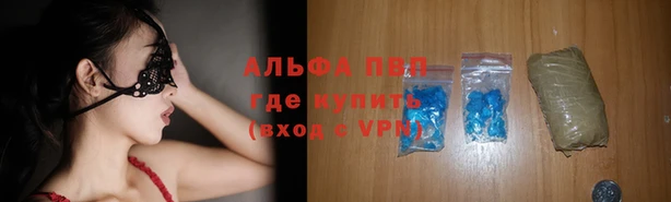 хмурый Пересвет