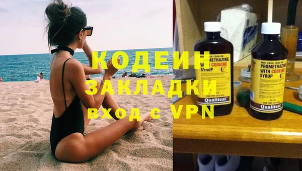 хмурый Пересвет