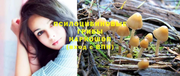 хмурый Пересвет