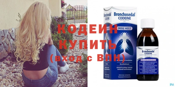 хмурый Пересвет