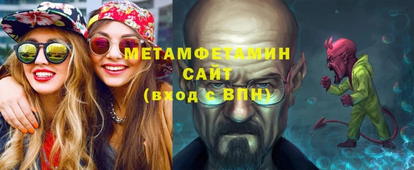 хмурый Пересвет