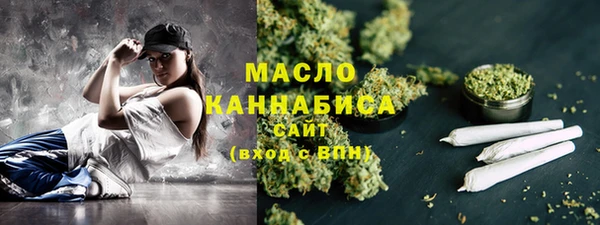 хмурый Пересвет