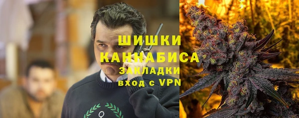хмурый Пересвет