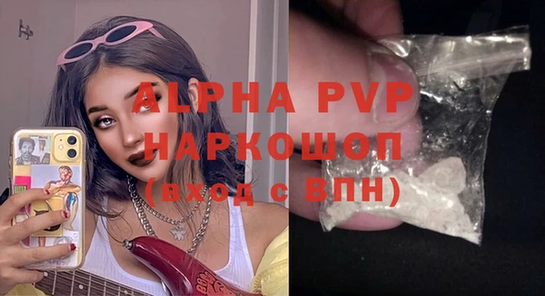 хмурый Пересвет