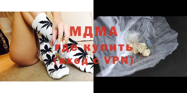 хмурый Пересвет