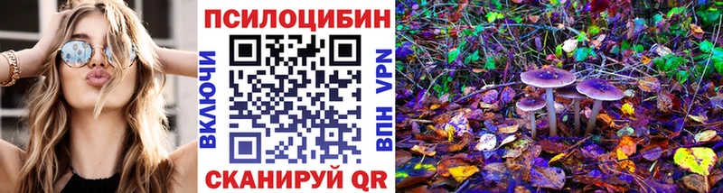 OMG   Баксан  Галлюциногенные грибы прущие грибы 