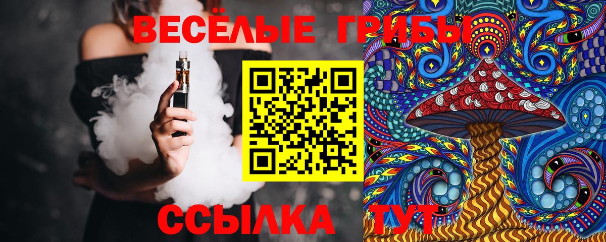 Псилоцибиновые грибы Cubensis Баксан