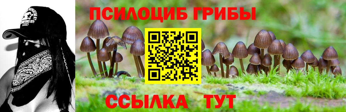 Псилоцибиновые грибы MAGIC MUSHROOMS  Баксан 